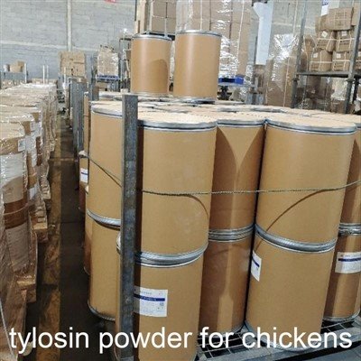 Kanojen tylosiinijauhe